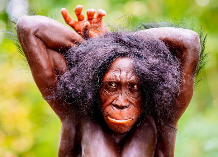 Обнаружена отличительная эволюционная особенность рода Homo